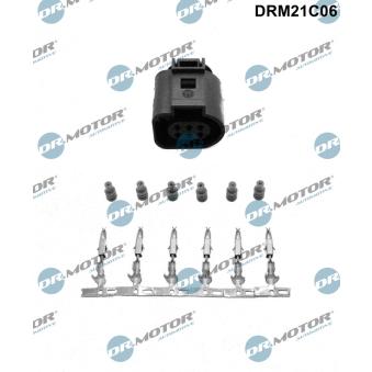 Fiche Dr.Motor DRM21C06