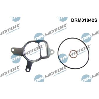 Jeu de joints, pompe à vide Dr.Motor DRM01842S
