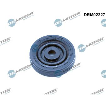 Bague d'étanchéité, vilebrequin Dr.Motor