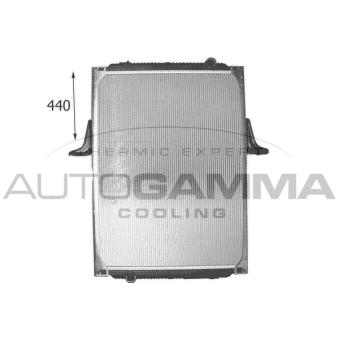 Radiateur, refroidissement du moteur AUTOGAMMA 403592