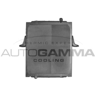 Radiateur, refroidissement du moteur AUTOGAMMA 403260
