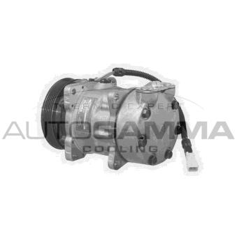 Compresseur, climatisation AUTOGAMMA 108078