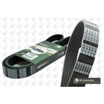 Courroie trapézoïdale à nervures BGA 8PK1392