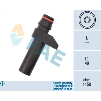 Capteur d'angle, vilebrequin FAE