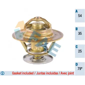 Thermostat d'eau FAE