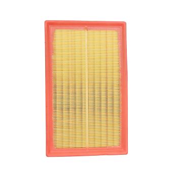 Filtre à air Dr!ve+ DP1110.10.0113