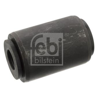 Suspension, ressort à lames FEBI BILSTEIN 101300