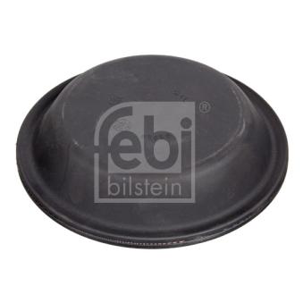 Diaphragme, cylindre de frein FEBI BILSTEIN 07098