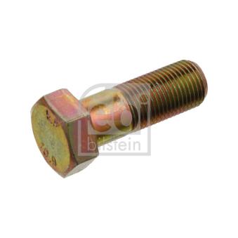Boulon FEBI BILSTEIN 06603