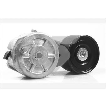 Poulie-tendeur, courroie trapézoïdale à nervures HUTCHINSON TK035