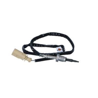 Capteur, température des gaz NRF