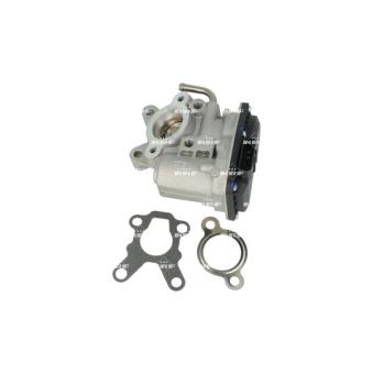 Vanne EGR NRF 48659