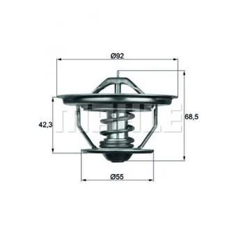 Thermostat d'eau BEHR TX 35 71
