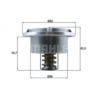 Thermostat d'eau BEHR THD 6 86