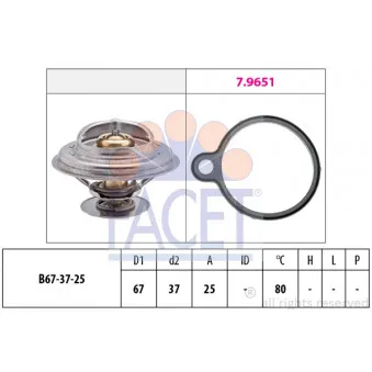 Thermostat d'eau FACET