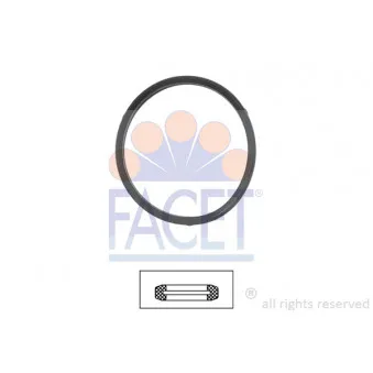 Joint d'étanchéité, thermostat FACET