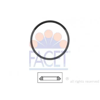 Joint d'étanchéité, thermostat FACET