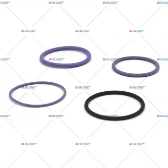 Kit de joints, injecteur AUGER