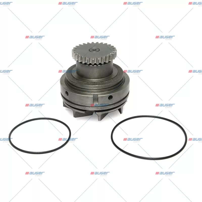 Pompe à eau AUGER 70209