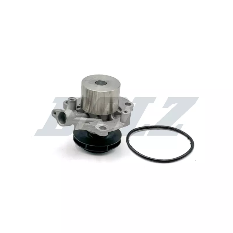 Pompe à eau DOLZ A255