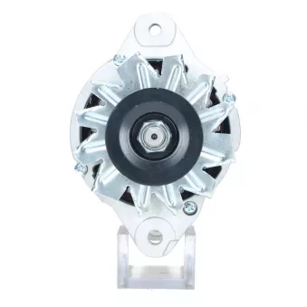 Alternateur BV PSH 156.019.050.130