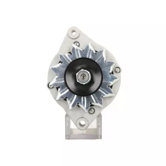 Alternateur BV PSH 815.029.070.090