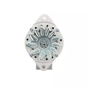 Alternateur BV PSH 816.004.080.211