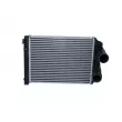 Intercooler, échangeur NRF 30210 - Visuel 1