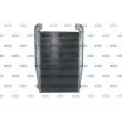 Intercooler, échangeur NRF 30230 - Visuel 1