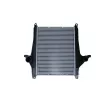 Intercooler, échangeur NRF 30262 - Visuel 1