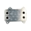 Radiateur d'huile NRF 31195 - Visuel 3