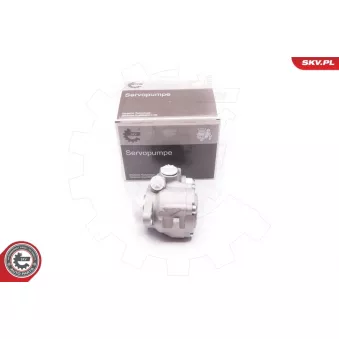 Pompe hydraulique, direction ESEN SKV 1SKV0006