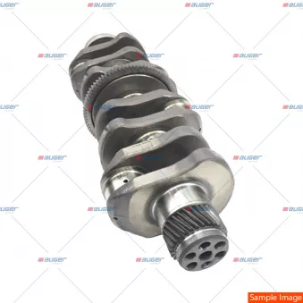Vilebrequin AUGER