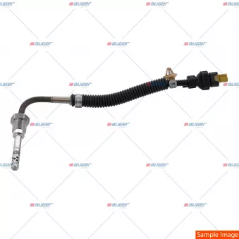 Capteur, température des gaz AUGER