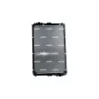 Radiateur, refroidissement du moteur NRF 519720 - Visuel 1