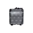 Radiateur, refroidissement du moteur NRF 530029 - Visuel 1