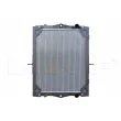 Radiateur, refroidissement du moteur NRF 519744 - Visuel 1