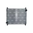 Radiateur, refroidissement du moteur NRF 509779 - Visuel 1