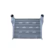 Intercooler, échangeur NRF 309081 - Visuel 1