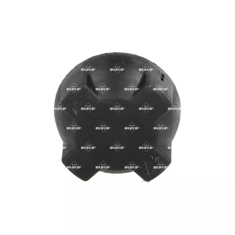Bouchon, réservoir de liquide de refroidissement NRF 455653