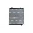Radiateur, refroidissement du moteur NRF 500011 - Visuel 1