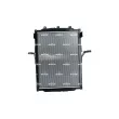 Radiateur, refroidissement du moteur NRF 500014 - Visuel 3