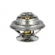 Thermostat, liquide de refroidissement NRF 725194 - Visuel 1