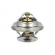 Thermostat, liquide de refroidissement NRF 725047 - Visuel 1