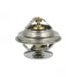 Thermostat, liquide de refroidissement NRF 725106 - Visuel 1