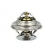 Thermostat, liquide de refroidissement NRF 725100 - Visuel 1