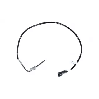 Capteur, température des gaz NRF 707349