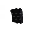 Radiateur, refroidissement du moteur NRF 52139 - Visuel 2