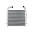 Intercooler, échangeur THERMOTEC DASC007TT - Visuel 1