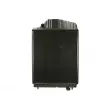 Radiateur, refroidissement du moteur THERMOTEC D7AG173TT - Visuel 1